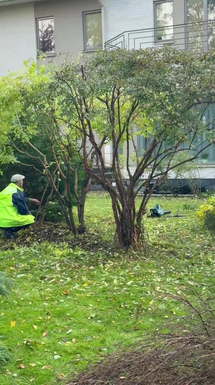 Clearing the beds in front of the house