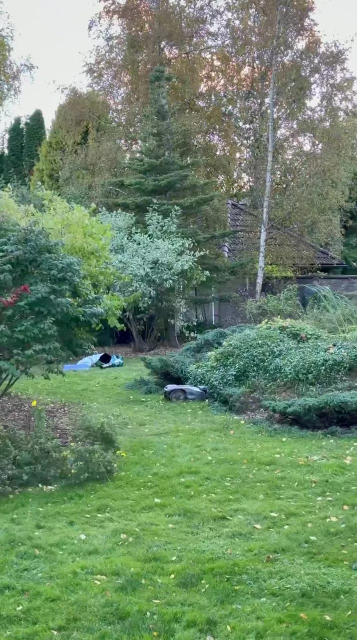 Lawn and shrub beds after the work
