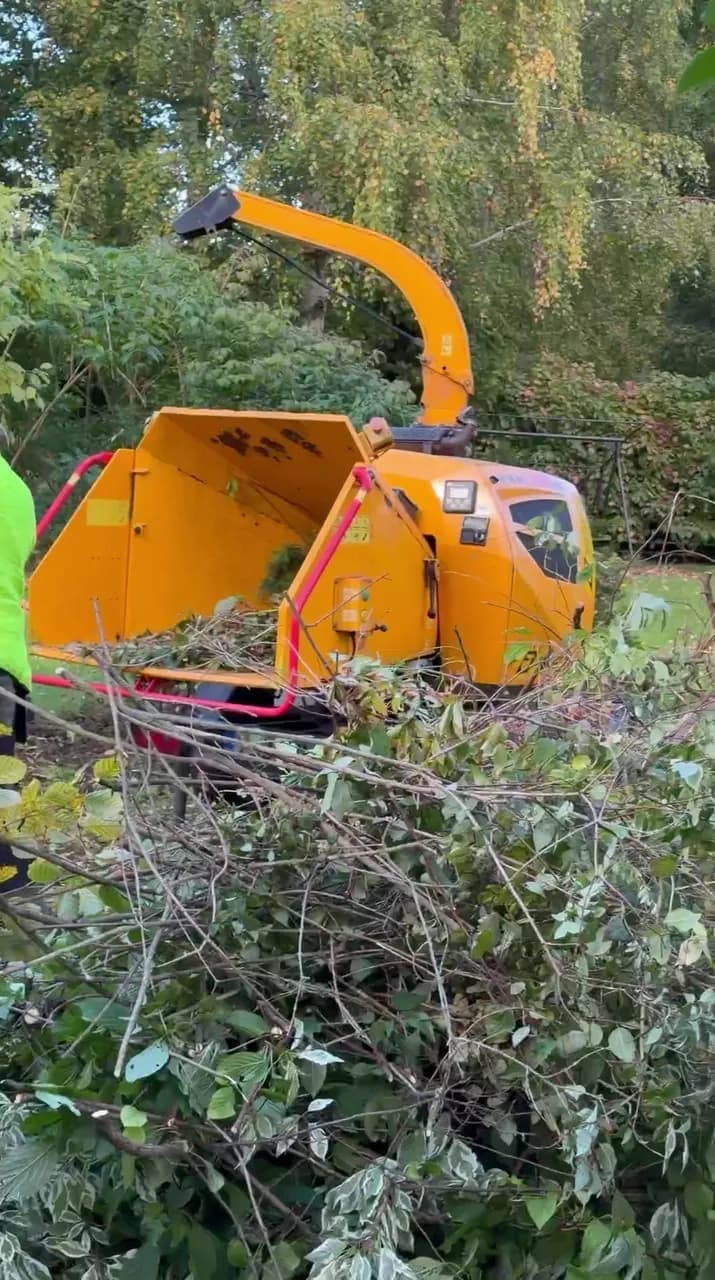 Wood chipper shredding the cut branches on site